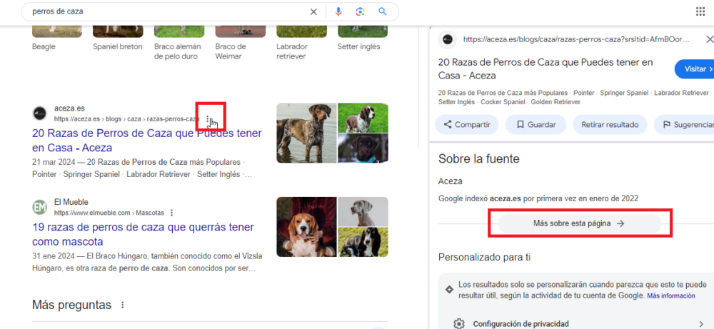 waybackmachine en google